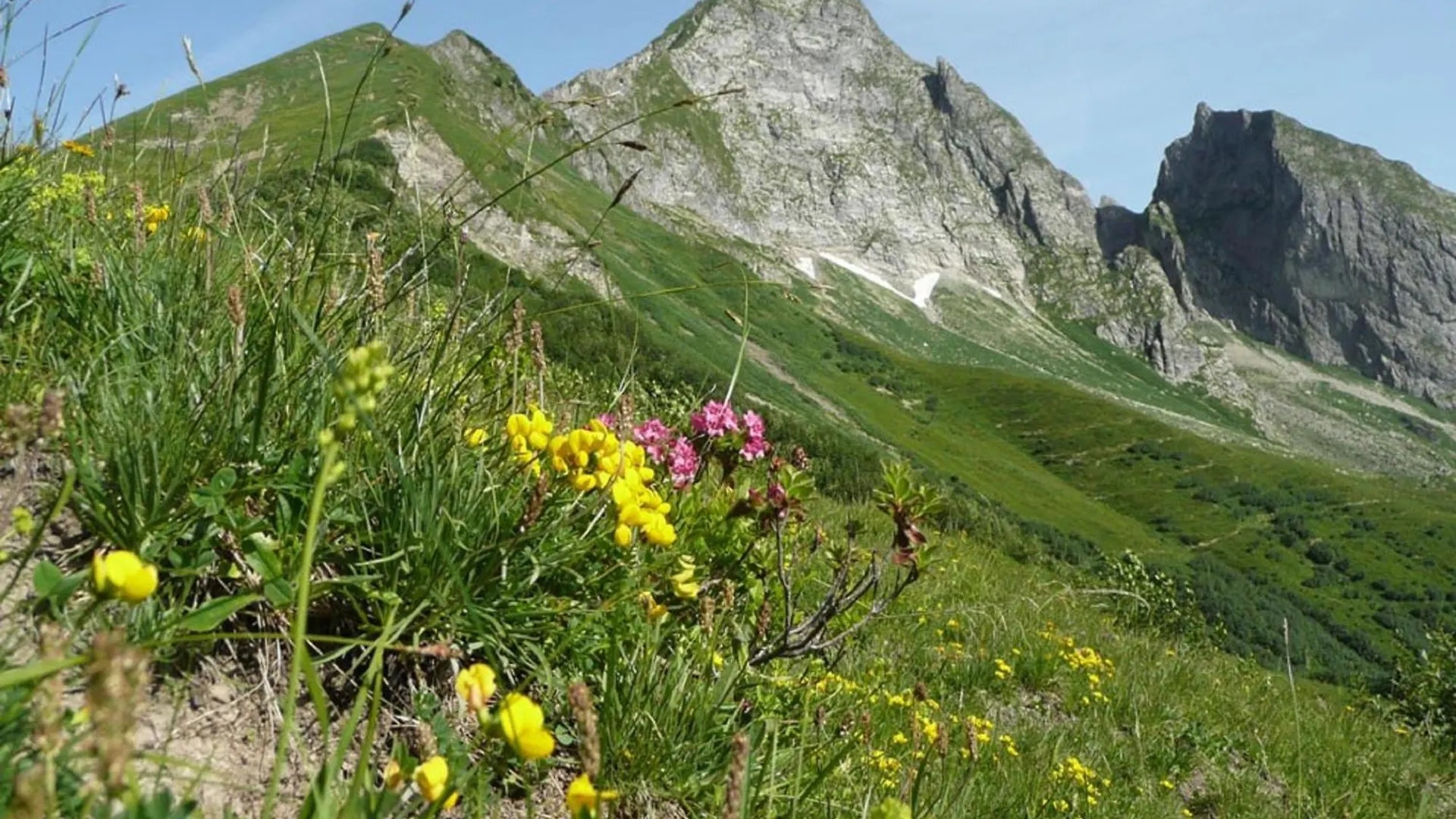 Apartment Edelweiss Hoernerbahnen Von Mai Bis Oktober Frei Obermaiselstein